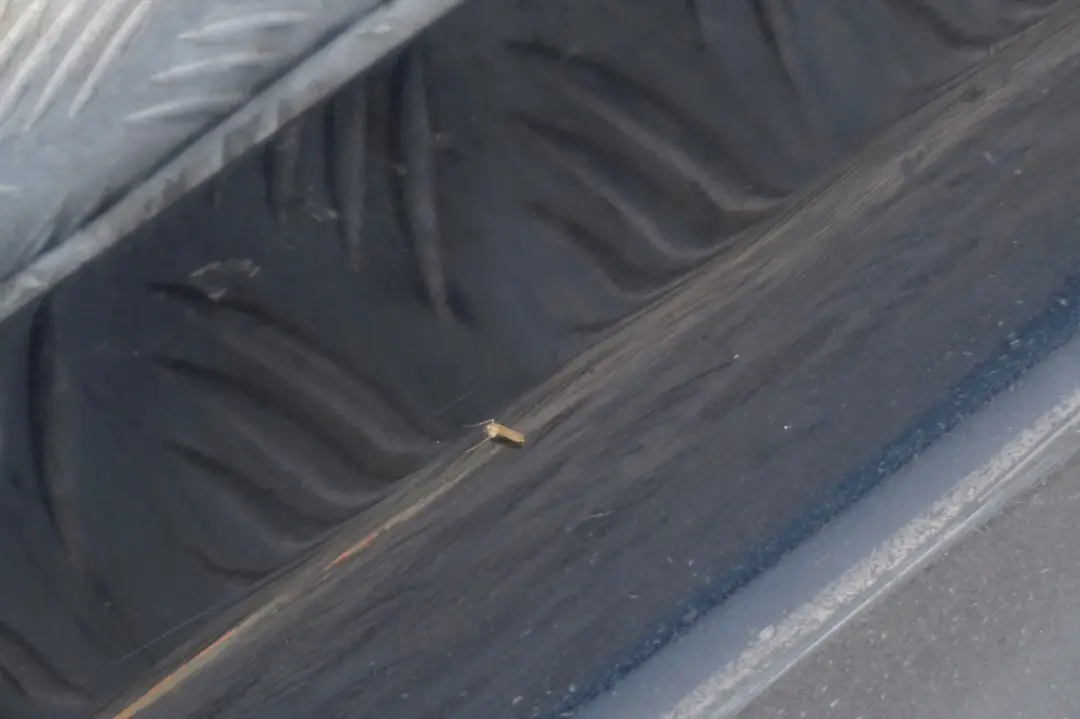 BMW E90 listwa nakładka próg prawy carbonschwarz - SKU 0032950-CAR2 - Numer Części 0032950