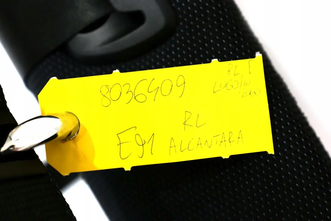 Sitz Polster Rücksitz Rückenlehne Hinten Links N/S Alcantara für BMW 3 E91 mit Teilenummer 8036409 BMW 3 E91 Sitz Polster Rücksitz Rückenlehne Hinten Links N/S Alcantara - SKU 8036409 - Teilenummer 8036409