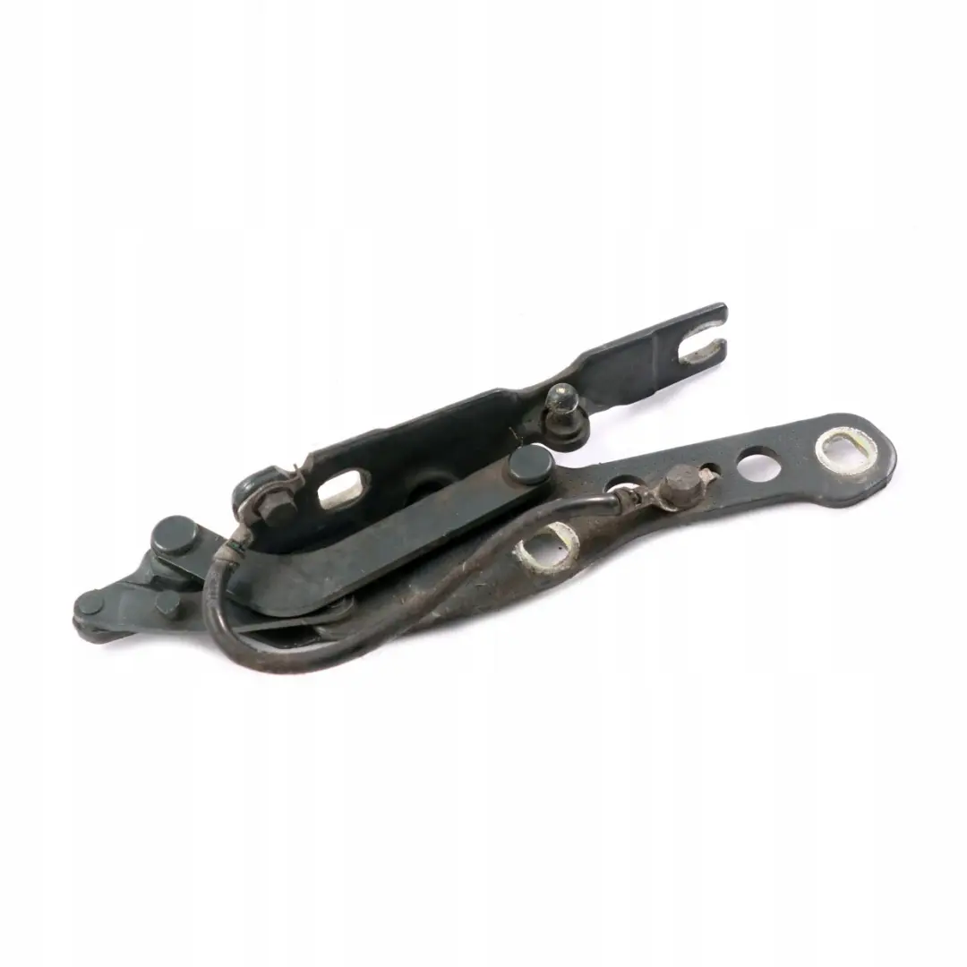 BMW E46 Charniere Rabat a Gauche Vert Oxford Vert Metallique - 430 - SKU 7028577-OXF - Numéro de pièce 7028577
