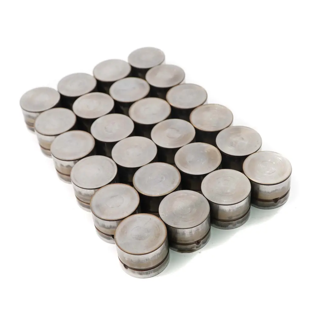 M54 Camshaft Hydraulic Valve Tappet Set to BMW 5 7 X3 X5 E53 E60 E65 E83 with Part number 1748884 BMW 5 7 X3 X5 E53 E60 E65 E83 M54 Camshaft Hydraulic Valve Tappet Set - SKU 1748884-1 - Part number 1748884