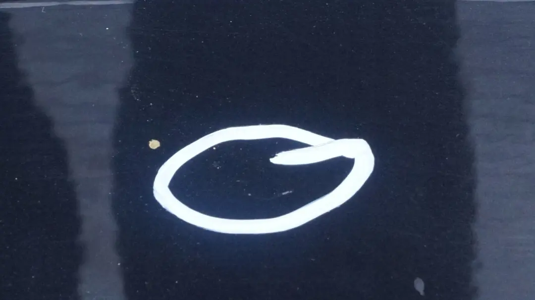 Pokrywa przykrycie osłona dachu black do BMW E88 o numerze 7188729 BMW E88 Pokrywa przykrycie osłona dachu black - SKU 7188729-BS - Numer Części 7188729