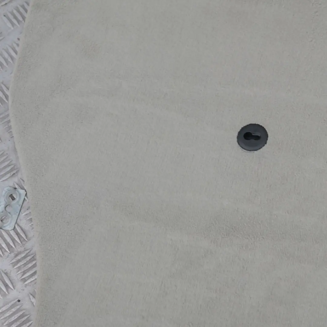 etagere Rumble Capot Pastellgrun pour BMW X5 E53 à propos du numéro de pièce 7129743 BMW X5 E53 etagere Rumble Capot Pastellgrun - SKU 7129743 - Numéro de pièce 7129743