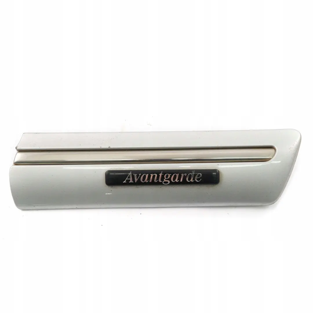 Mercedes W210 Delantero Derecho Guardabarros Molding Strip Brilliant Silver 744 - SKU A2106900282-BRS - Número de pieza A2106900282