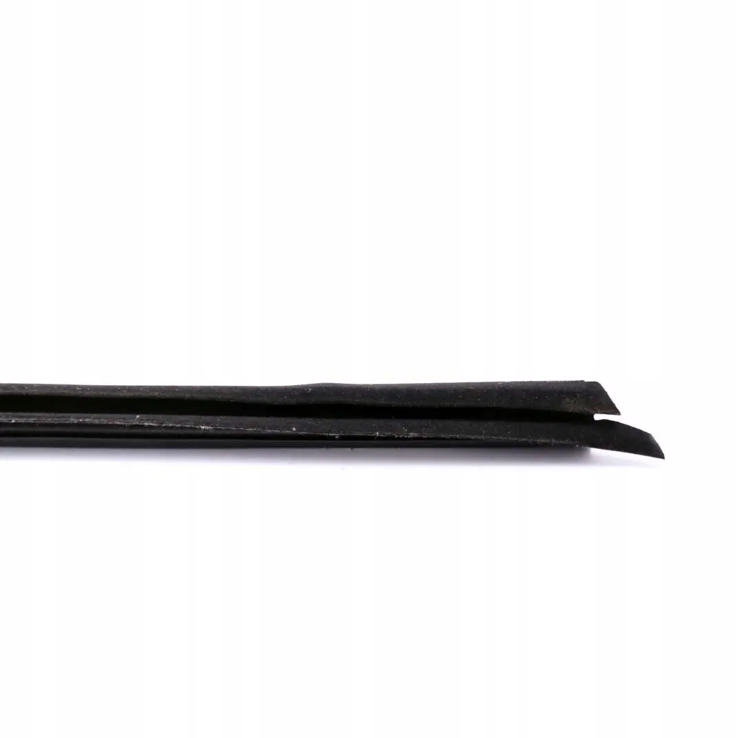 BMW E46 Chiusino Interno Destro Guarnizione Portiera Frontale - SKU 8194702 - Numero di parte 8194702