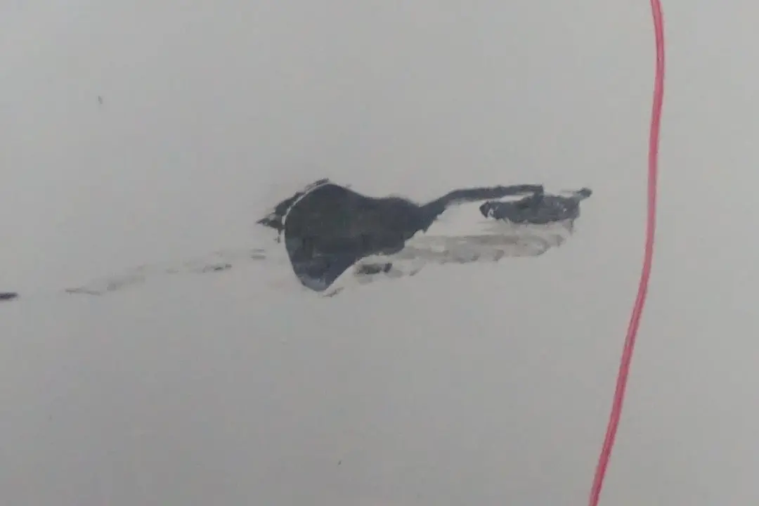 Série 1 F20 F21 LCI 1 M Sport Pare-chocs arrière blanc alpin - 300 pour BMW à propos du numéro de pièce 8064151 BMW Série 1 F20 F21 LCI 1 M Sport Pare-chocs arrière blanc alpin - 300 - SKU 8064151-AW1 - Numéro de pièce 8064151