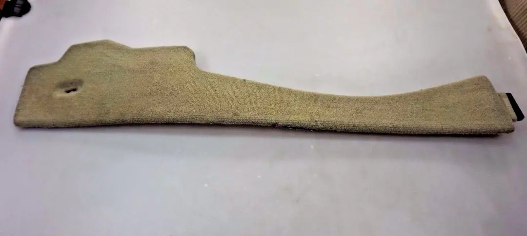 Front Left N/S Center Console Trim Panel Cover PASTELLGRÜN to BMW X5 Series E53 with Part number 8262845 BMW X5 Series E53 Front Left N/S Center Console Trim Panel Cover PASTELLGRÜN - SKU 8262845 - Part number 8262845