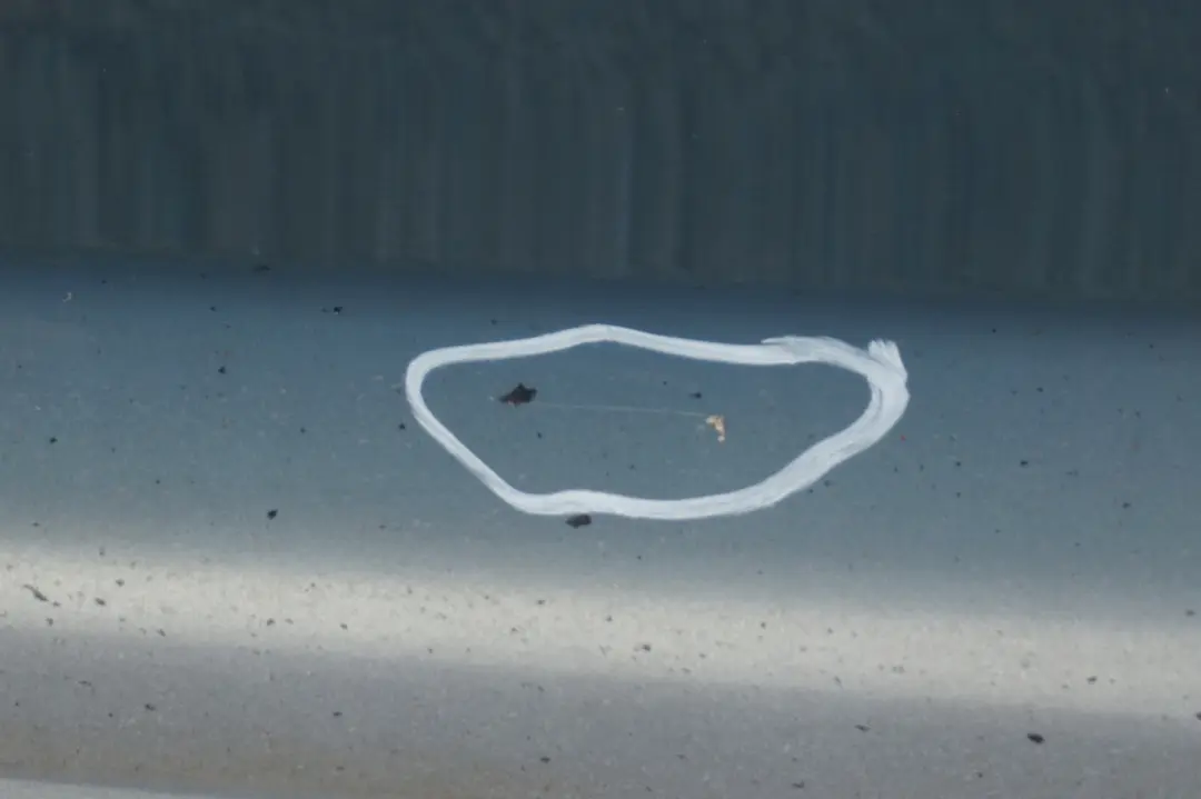 Striscia davanzale gonna laterale sinistra Arktis Metallic - A34 per BMW E90 E91 con numero di parte 0032951 BMW E90 E91 Striscia davanzale gonna laterale sinistra Arktis Metallic - A34 - SKU 0032951-AM9 - Numero di parte 0032951