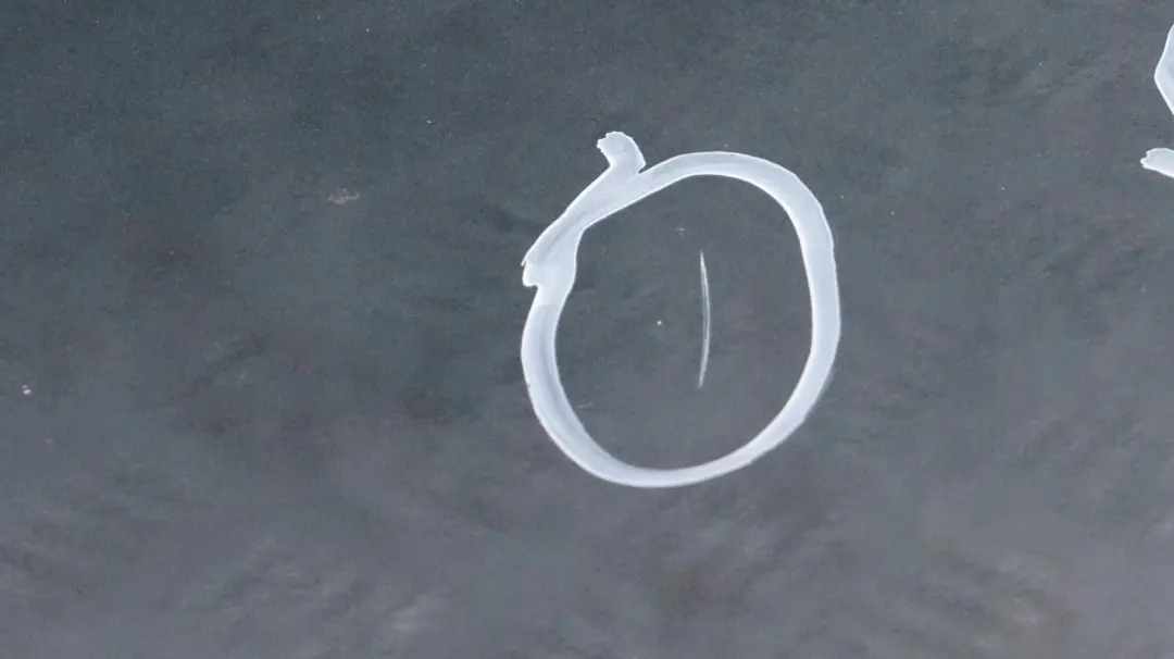 Puerta delantera derecha British Racing Green - A67 para Mini R55 R56 R57 R58 R59 con número de pieza 2755936 Mini R55 R56 R57 R58 R59 Puerta delantera derecha British Racing Green - A67 - SKU 2755936-BRG4 - Número de pieza 2755936