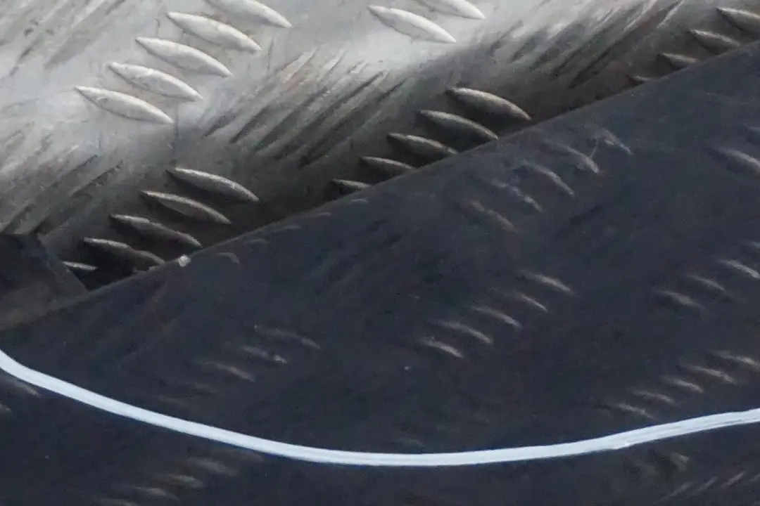 Listello Portiera Apertura Gonna Destra Blu Monaco Metallizzato per BMW E87 con numero di parte 0032948 BMW E87 Listello Portiera Apertura Gonna Destra Blu Monaco Metallizzato - SKU 0032948-MB - Numero di parte 0032948