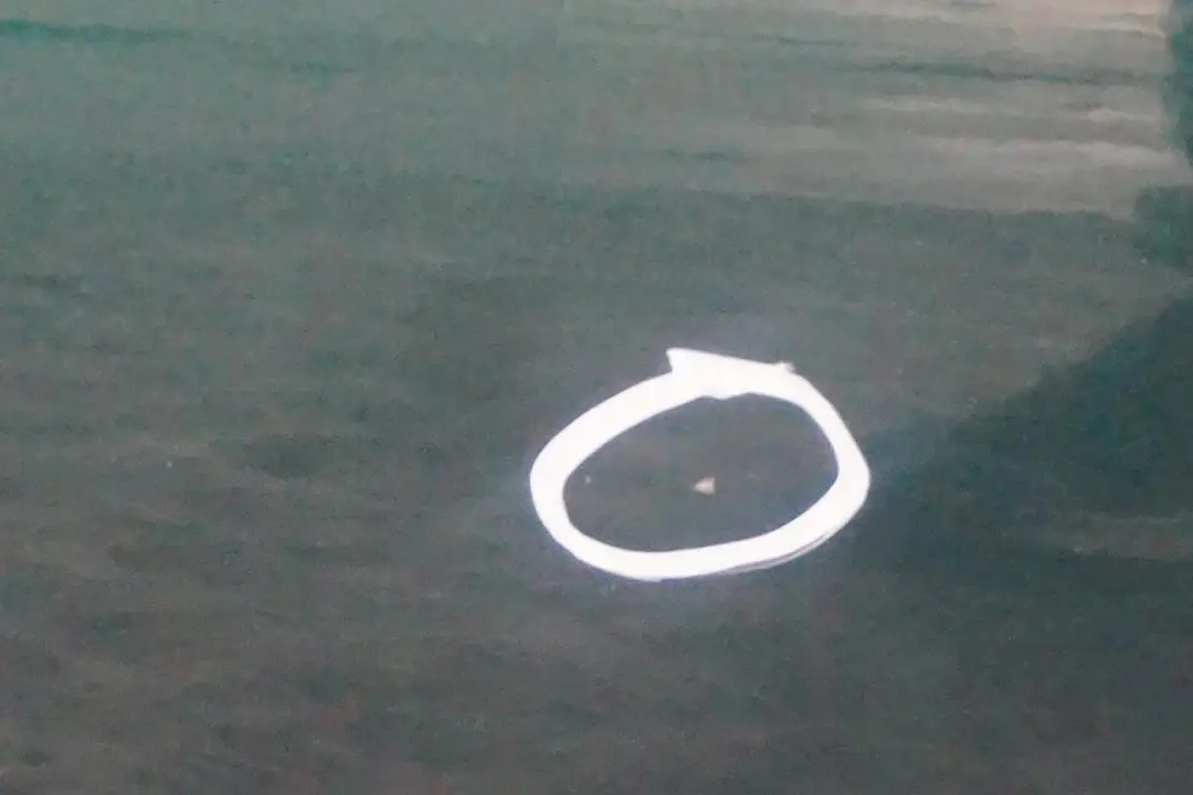 Drzwi prawe British Racing Green A67 do Mini R55 R56 o numerze 2755936 Mini R55 R56 Drzwi prawe British Racing Green A67 - SKU 2755936-BRG5 - Numer Części 2755936