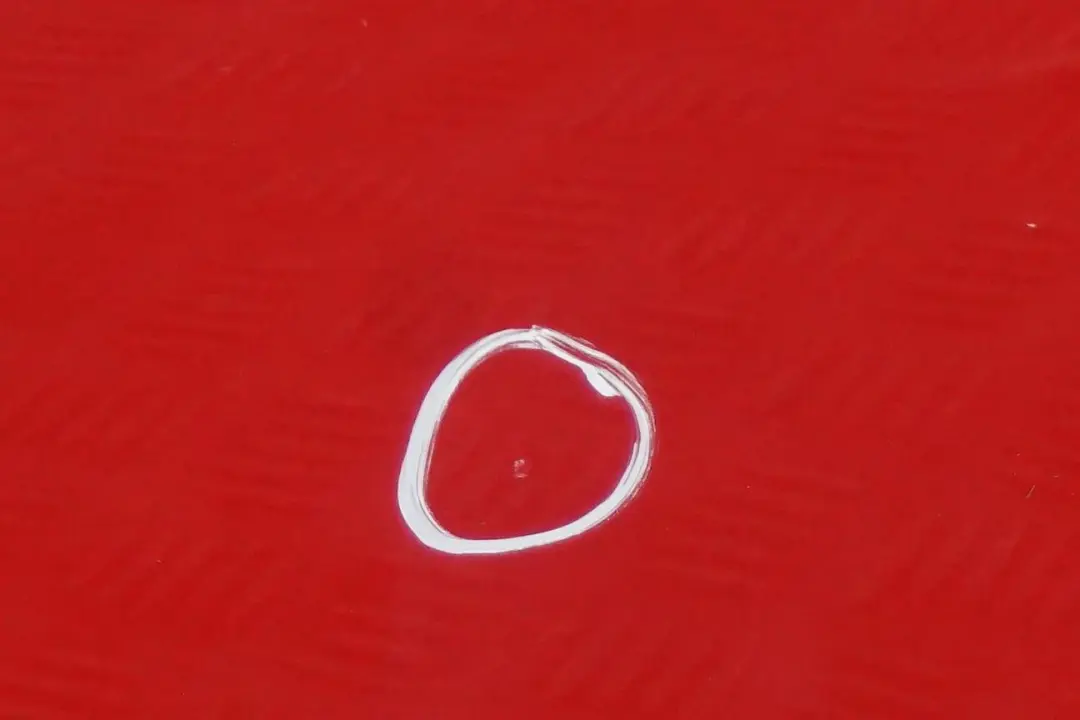 Fahrerseite Tür vorne links Chili Red 851 für BMW MINI Cooper 4 R55 R56 R57 R58 R59 mit Teilenummer 2755935 BMW MINI Cooper 4 R55 R56 R57 R58 R59 Fahrerseite Tür vorne links Chili Red 851 - SKU 2755935-CHRED9 - Teilenummer 2755935