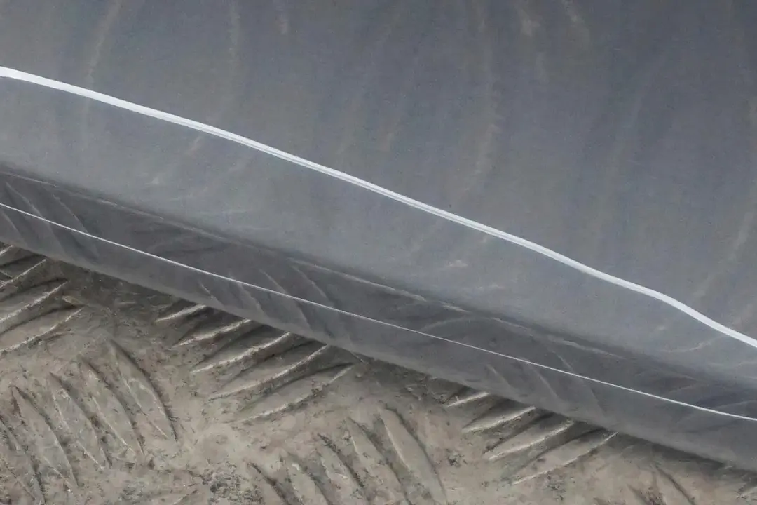 Cote Conducteur Porte avant Gauche Quartzbleu Bleu Metallise - A18 pour BMW 1 E87 à propos du numéro de pièce 7191011 BMW 1 E87 Cote Conducteur Porte avant Gauche Quartzbleu Bleu Metallise - A18 - SKU 7191011-QB10 - Numéro de pièce 7191011