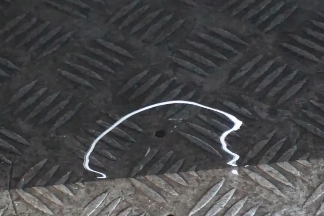 Drzwi prawe przednie przód Oxford Green do BMW E65 o numerze 7202082 BMW E65 Drzwi prawe przednie przód Oxford Green - SKU 7202082-OXF - Numer Części 7202082