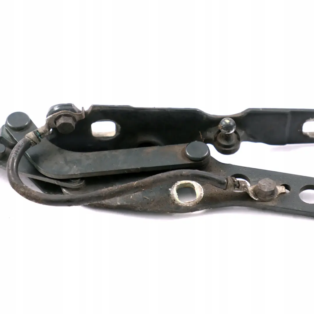 BMW E46 Charniere Rabat a Gauche Vert Oxford Vert Metallique - 430 - SKU 7028577-OXF - Numéro de pièce 7028577