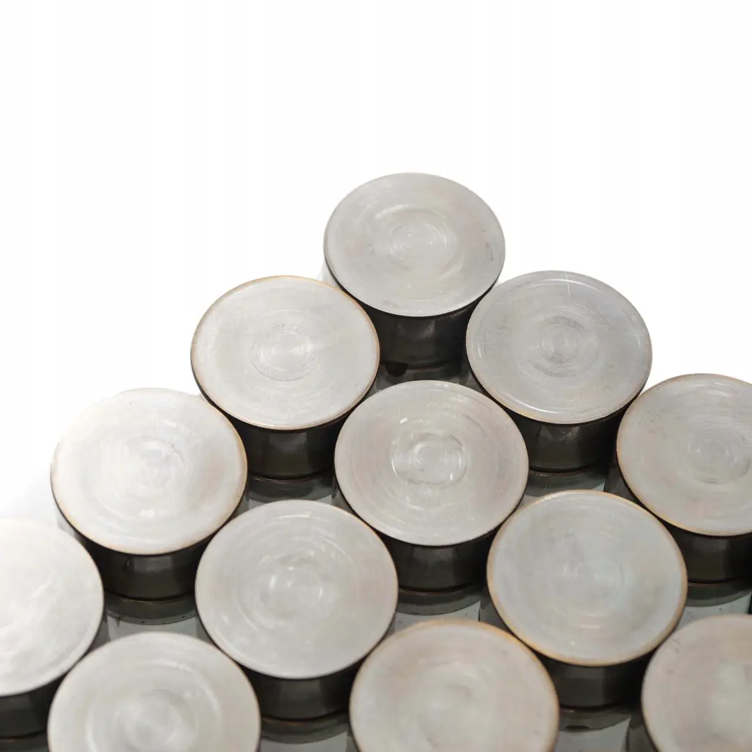 E60E83 M54 Punterie Elettrovalvola Valvola Punteria per BMW X3 X5 E53 con numero di parte 1748884 BMW X3 X5 E53 E60E83 M54 Punterie Elettrovalvola Valvola Punteria - SKU 1748884-1 - Numero di parte 1748884