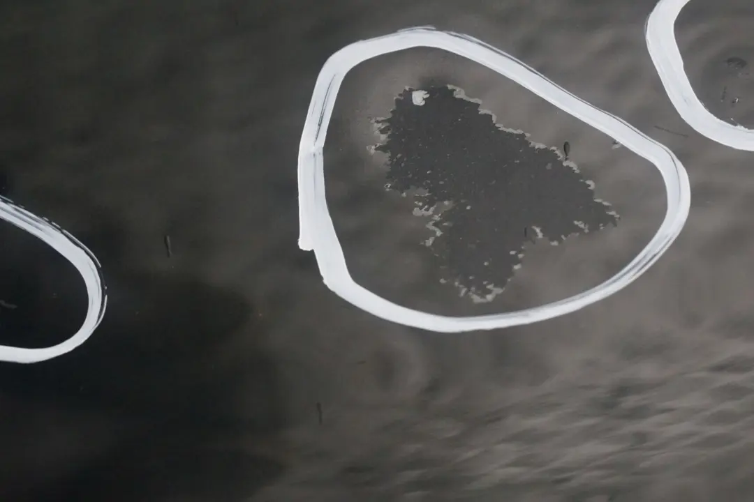 Beifahrer Tür hinten rechts Oxfordgrün Oxford Grün Metallic 430 für BMW X5 er E53 mit Teilenummer 8256828 BMW X5 er E53 Beifahrer Tür hinten rechts Oxfordgrün Oxford Grün Metallic 430 - SKU 8256828-OXF1 - Teilenummer 8256828