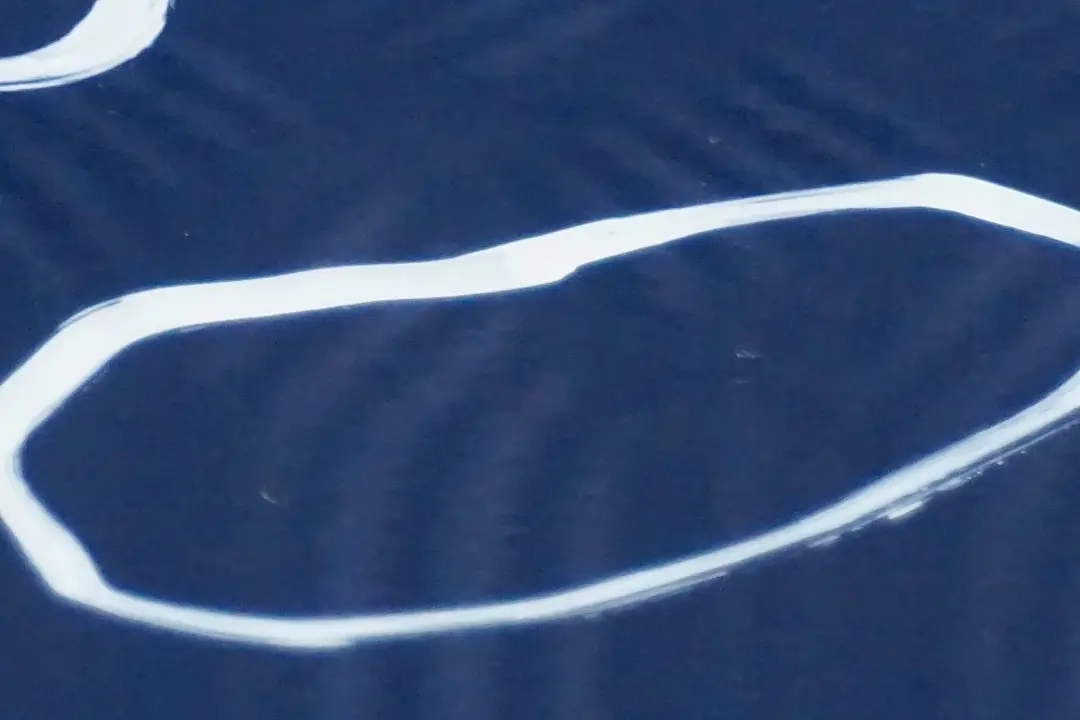 Cote Conducteur Porte Arriere Gauche Bleu de Sydney Bleu A19 pour BMW E87 à propos du numéro de pièce 7191017 BMW E87 Cote Conducteur Porte Arriere Gauche Bleu de Sydney Bleu A19 - SKU 7191017-SYD12 - Numéro de pièce 7191017