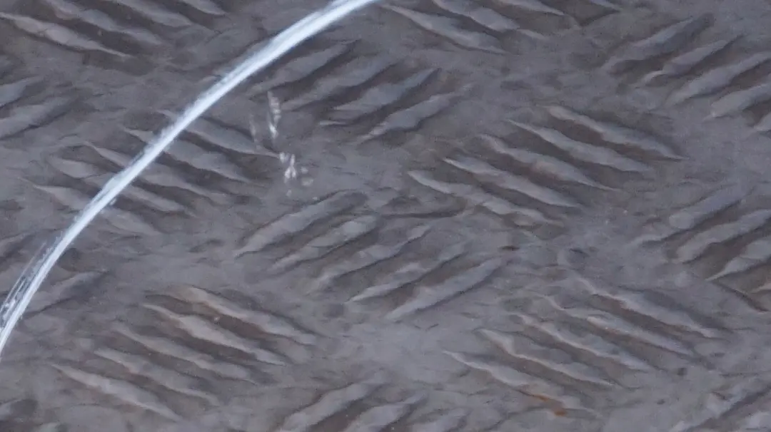 Puerta frontal derecha Negro zafiro metálico - 475 para BMW 34 E87 con número de pieza 7191012 BMW 34 E87 Puerta frontal derecha Negro zafiro metálico - 475 - SKU 7191012-BS34 - Número de pieza 7191012