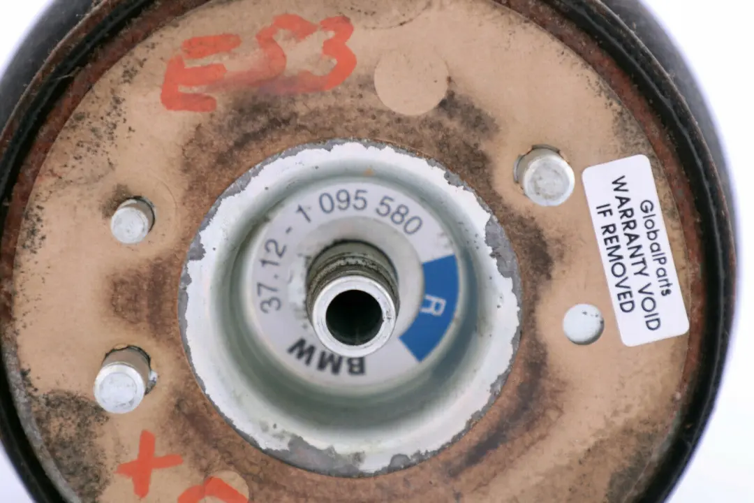 BMW E53 Amortiguador De Suspension Neumatica De Aire Trasero Derecho - SKU 1095580 - Número de pieza 1095580