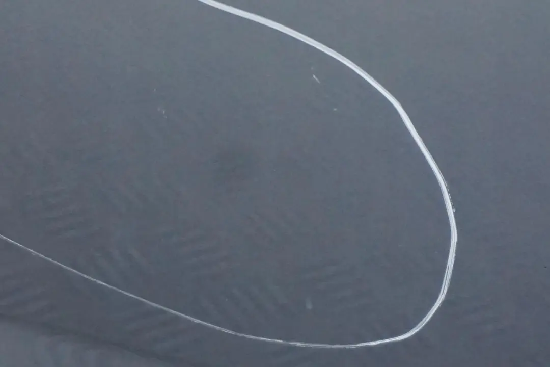 Reihe E83 Tür Hinten Links Bluewater Wasserblau Metallic - 896 für BMW X3 mit Teilenummer 3449337 BMW X3 Reihe E83 Tür Hinten Links Bluewater Wasserblau Metallic - 896 - SKU 3449337-WB1 - Teilenummer 3449337