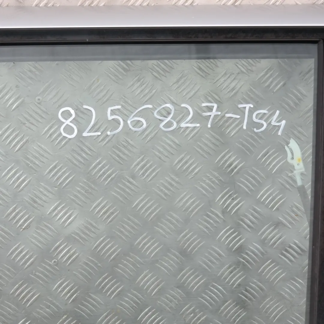 Fahrerseite Tür hinten links Titansilber Titan Silber Metallic für BMW X5 er 4 E53 mit Teilenummer 8256827 BMW X5 er 4 E53 Fahrerseite Tür hinten links Titansilber Titan Silber Metallic - SKU 8256827-TS4 - Teilenummer 8256827