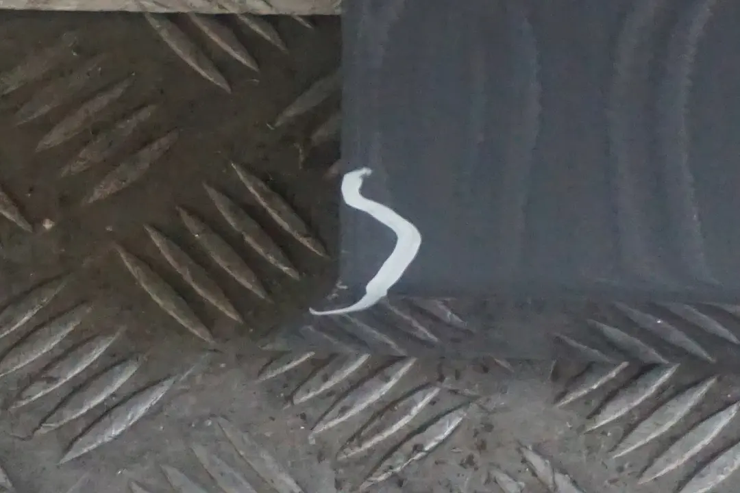 Reihe E87 Tür vorne rechts Quarzblau Quarz Blau Metallic - A18 für BMW 1 mit Teilenummer 7191012 BMW 1 Reihe E87 Tür vorne rechts Quarzblau Quarz Blau Metallic - A18 - SKU 7191012-QB19 - Teilenummer 7191012