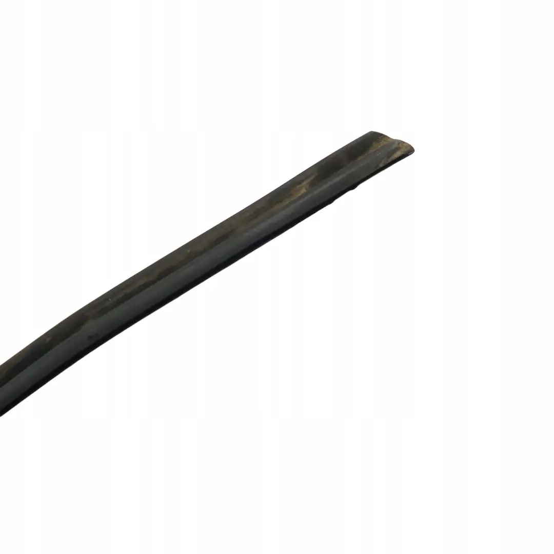 BMW X1 Series E84 Windscreen Windshield Window Moulding Seal Strip - SKU 7307896 - Part number 7307896