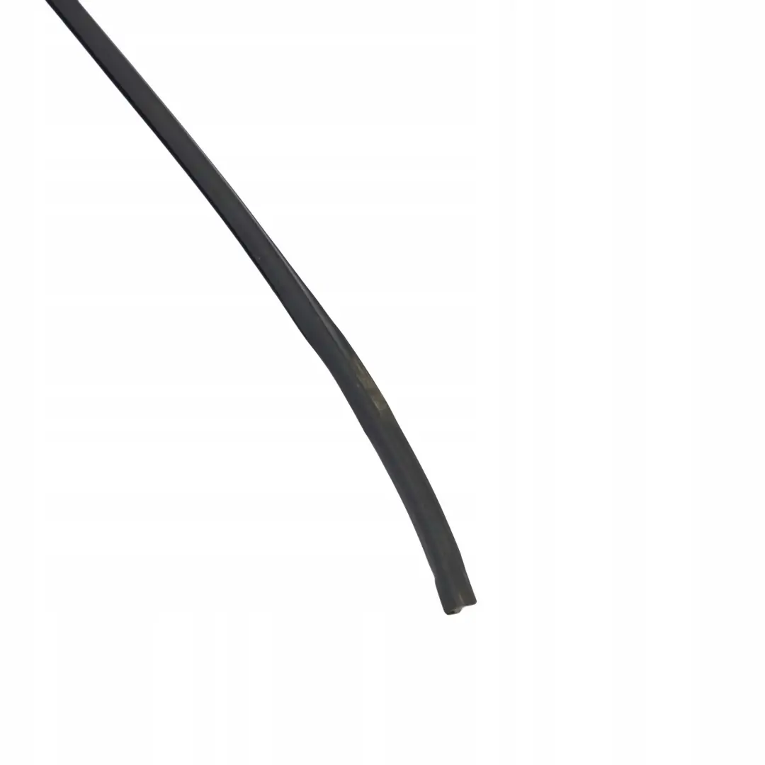 BMW X1 Series E84 Windscreen Windshield Window Moulding Seal Strip - SKU 7307896 - Part number 7307896