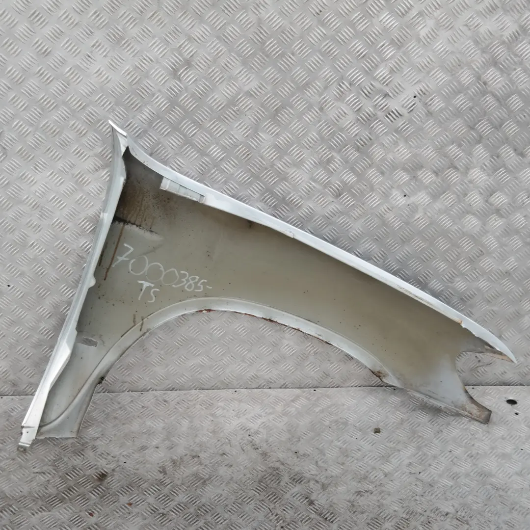 BMW X5 E53 Lato Conducente Pannello Laterale Ant. SX Parafango Argento-Titanio - SKU 7000385-TS - Numero di parte 7000385