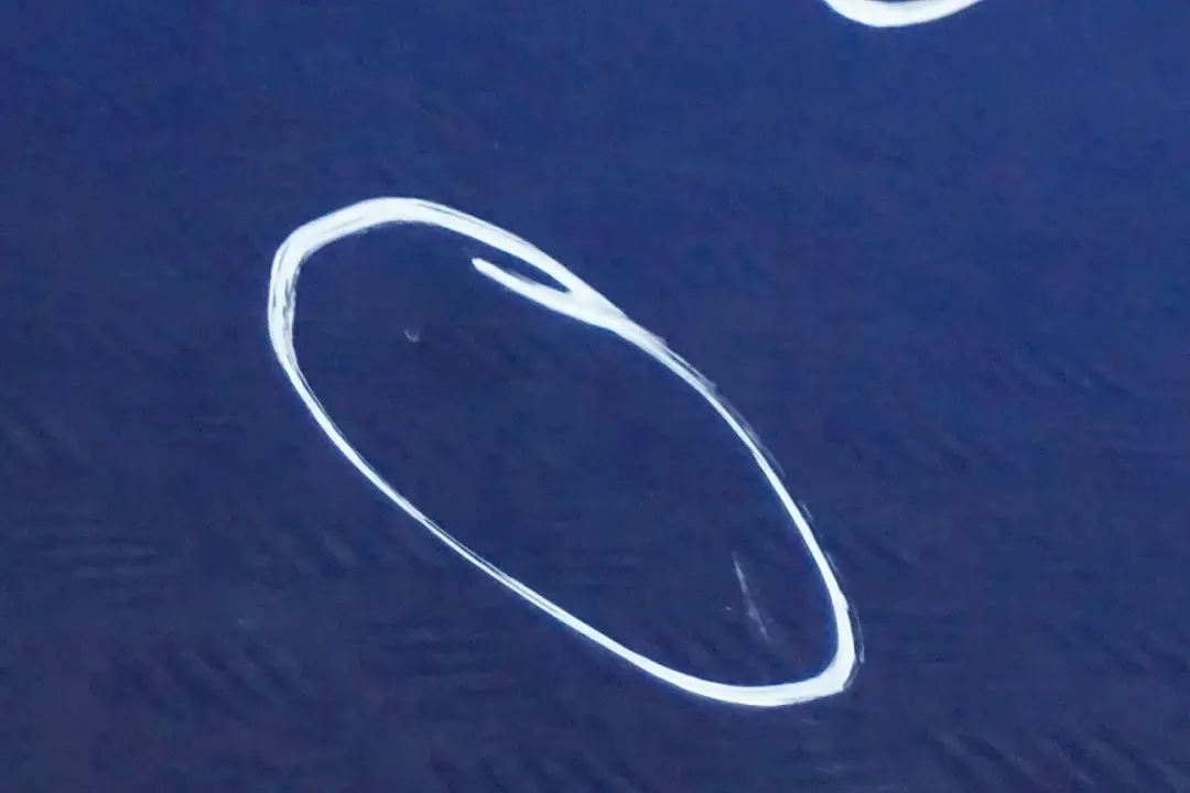 Drzwi lewe przednie montegoblau A51 do BMW E92 E93 o numerze 7200569 BMW E92 E93 Drzwi lewe przednie montegoblau A51 - SKU 7200569-MTB2 - Numer Części 7200569