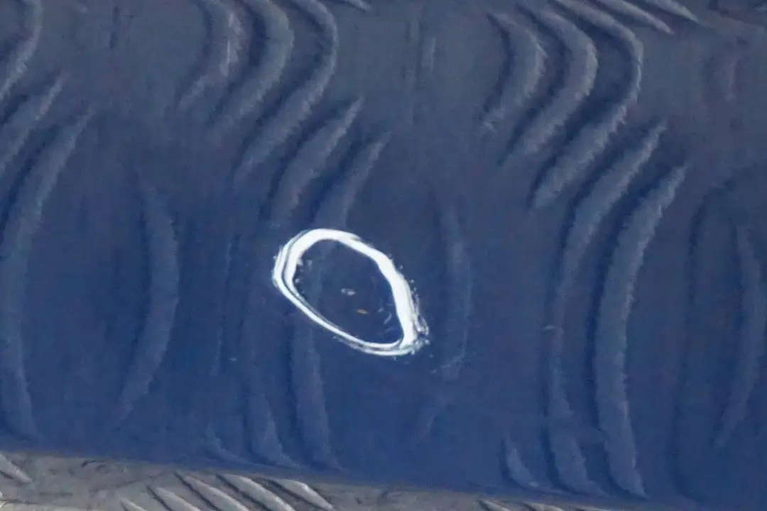 drzwi lewe przednie przód Sydney Blau A19 do BMW E87 o numerze 7191011 BMW E87 drzwi lewe przednie przód Sydney Blau A19 - SKU 7191011-SYD2 - Numer Części 7191011