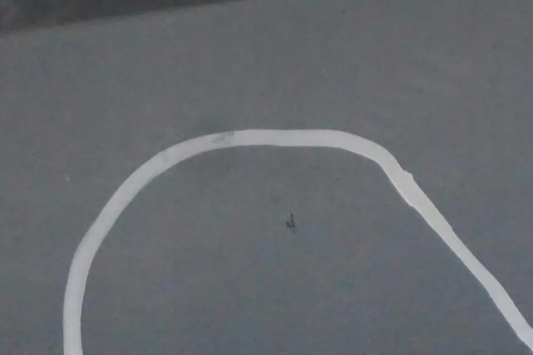 Schwellerleiste Blende Schweller Rechts Bluewater Blau 896 für BMW 3 E90 E91 LCI 2 mit Teilenummer 0037060 BMW 3 E90 E91 LCI 2 Schwellerleiste Blende Schweller Rechts Bluewater Blau 896 - SKU 0037060-WB2 - Teilenummer 0037060