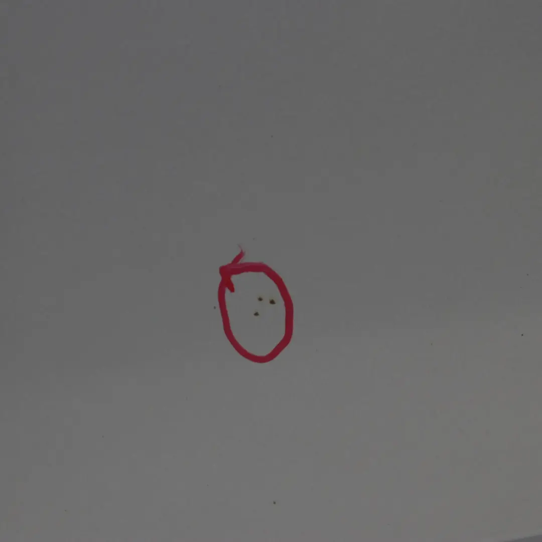 Mercedes-Benz A W168 Hood Bonnet Trim Panel Moonlight Silver Metallic - 706 to with Part number A1688800657 Mercedes-Benz A W168 Hood Bonnet Trim Panel Moonlight Silver Metallic - 706 - SKU A1688800657-MOON - Part number A1688800657