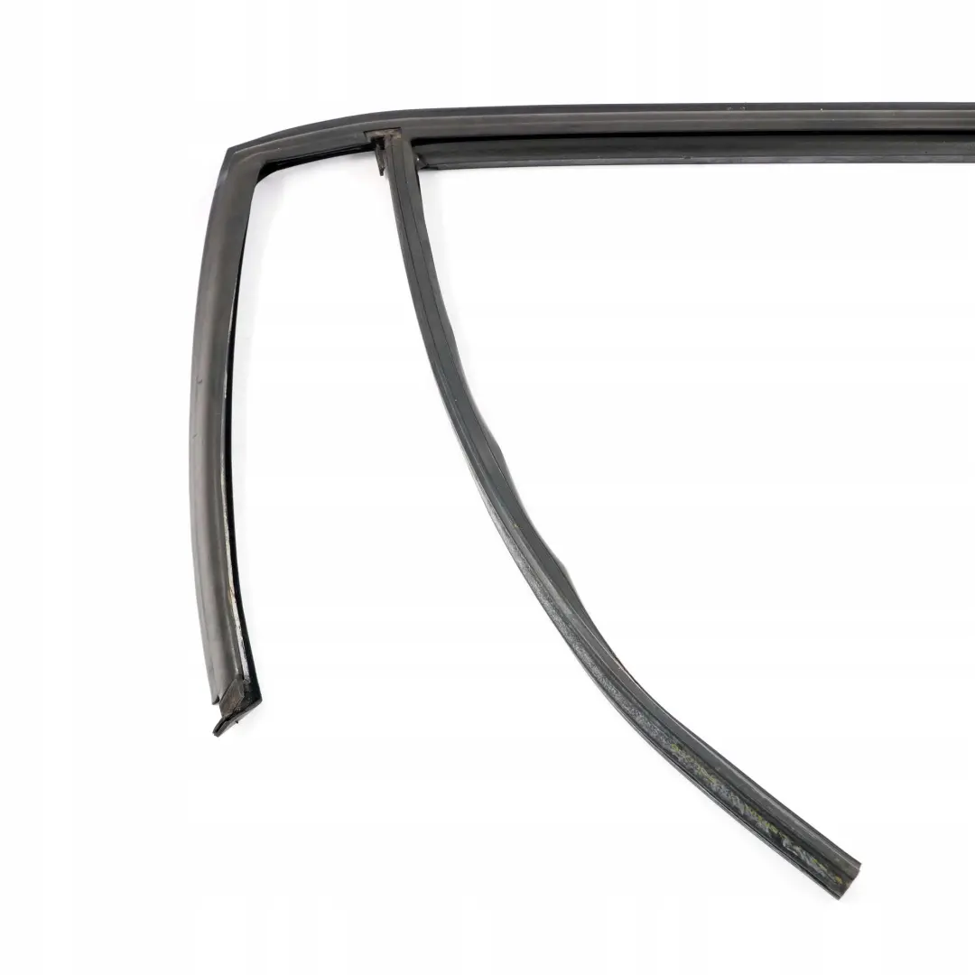  .*BMW X1 E84 Guarnizione Guida Finestrino Destro Porta Posteriore - SKU 2990320 - Numero di parte 2990320