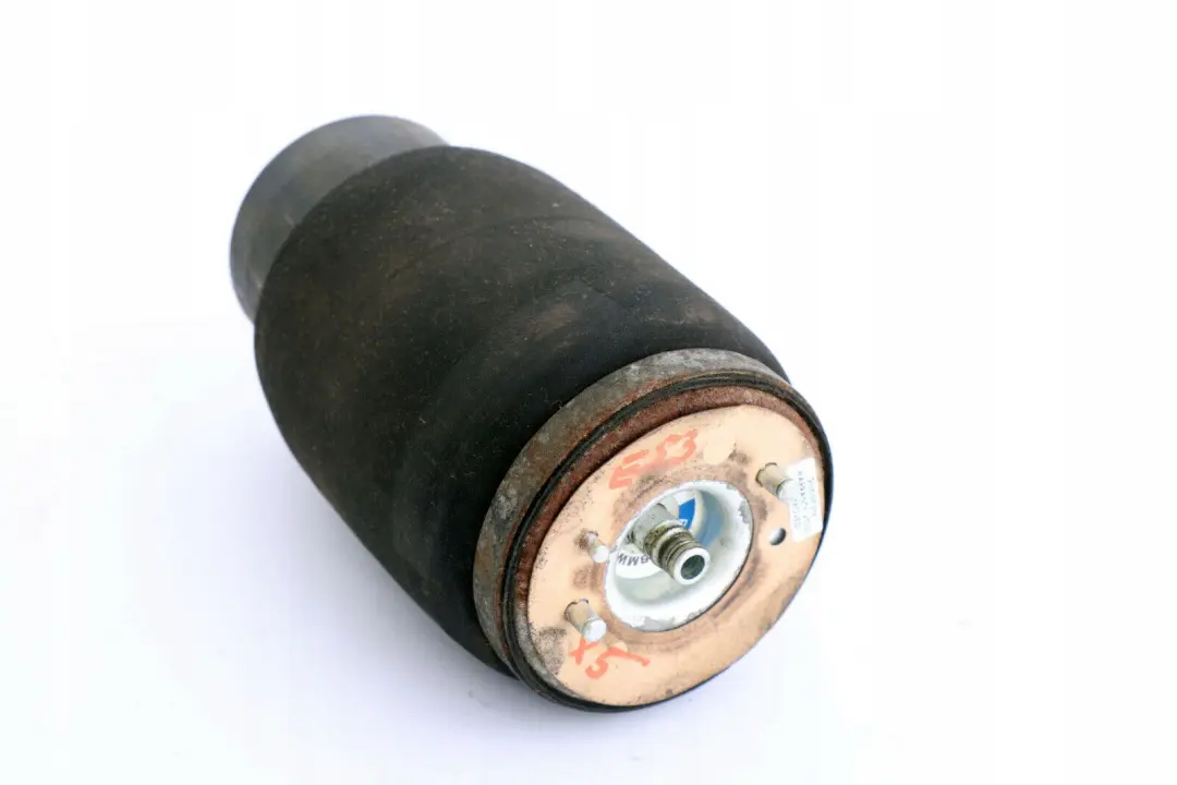 Poduszka Zawieszenia Prawy Tył do BMW E53 X5 o numerze 1095580 BMW E53 X5 Poduszka Zawieszenia Prawy Tył - SKU 1095580 - Numer Części 1095580
