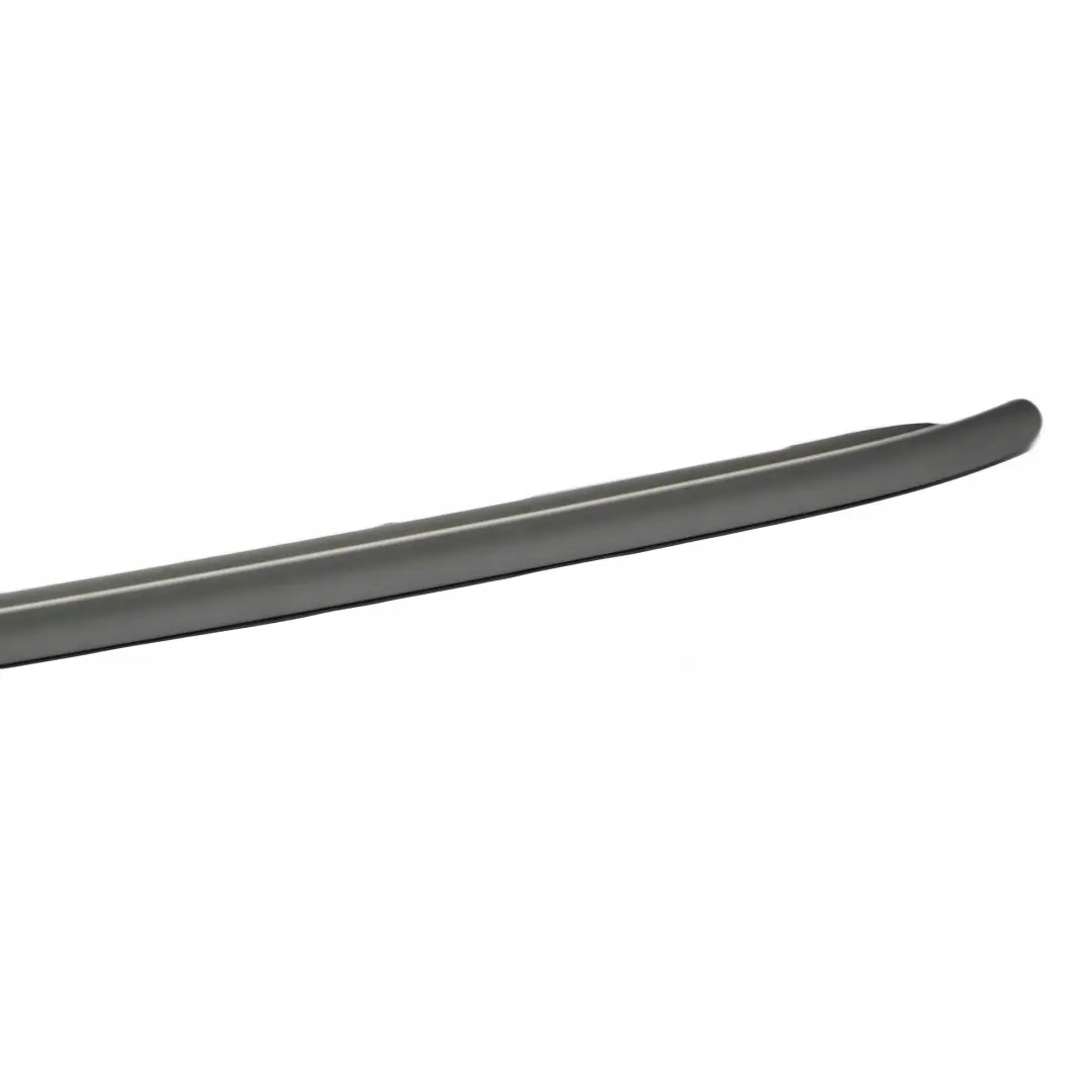 BMW Mini Cooper Countryman R60 Dachreling Dachzierleiste Links Silber - SKU 9800925 - Teilenummer 9800925