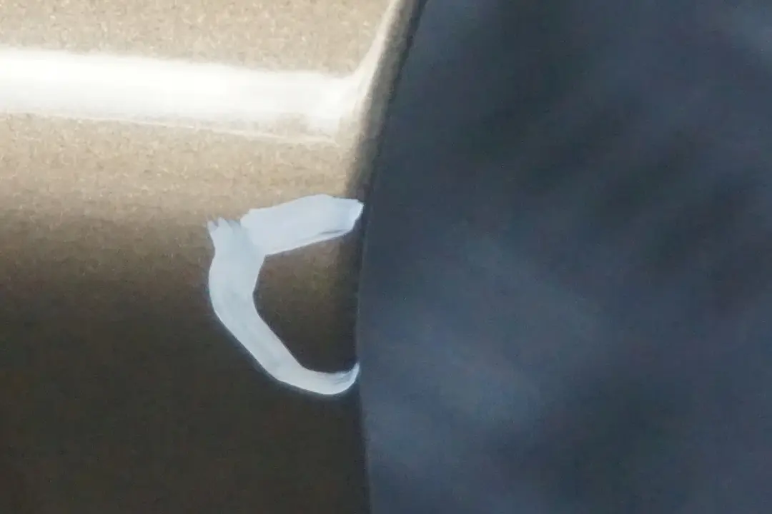 Cote Conducteur Porte avant Gauche Sonora Metallique - A23 pour BMW E87 LCI à propos du numéro de pièce 7191011 BMW E87 LCI Cote Conducteur Porte avant Gauche Sonora Metallique - A23 - SKU 7191011-SON - Numéro de pièce 7191011