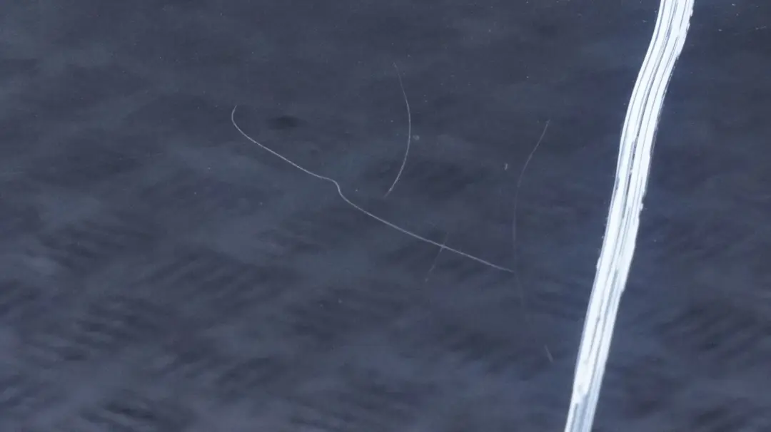 Beifahrer Tür vorne rechts Black Sapphire Metallic 475 für BMW 1 er E87 LCI mit Teilenummer 7191012 BMW 1 er E87 LCI Beifahrer Tür vorne rechts Black Sapphire Metallic 475 - SKU 7191012-BS33 - Teilenummer 7191012