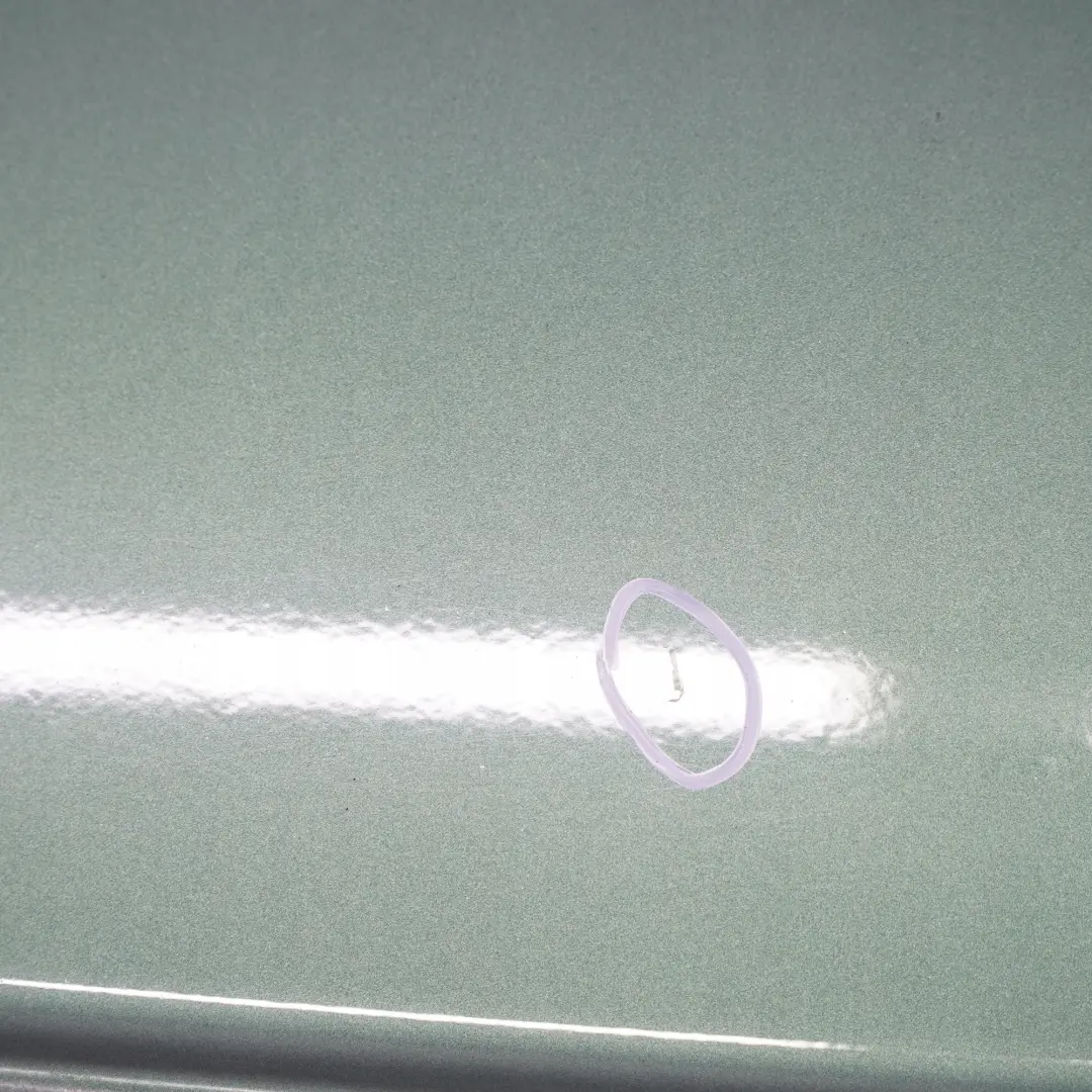BMW E46 Berlina Portiera Posteriore Destra Meer Verde Mare Metallizzato - 393 - SKU 7034154-MRG - Numero di parte 7034154