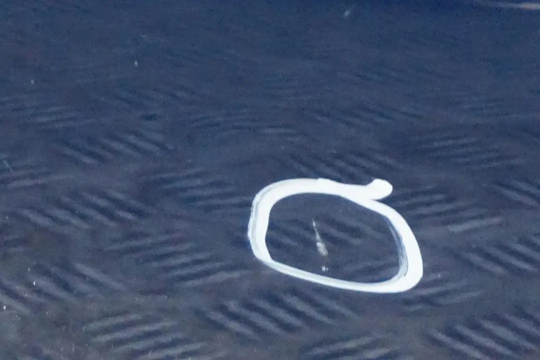 Reihe E46 Tür Hinten Rechts Topasblau Topas Blau Metallic - 896 für BMW 3 mit Teilenummer 7034154 BMW 3 Reihe E46 Tür Hinten Rechts Topasblau Topas Blau Metallic - 896 - SKU 7034154-TPB - Teilenummer 7034154