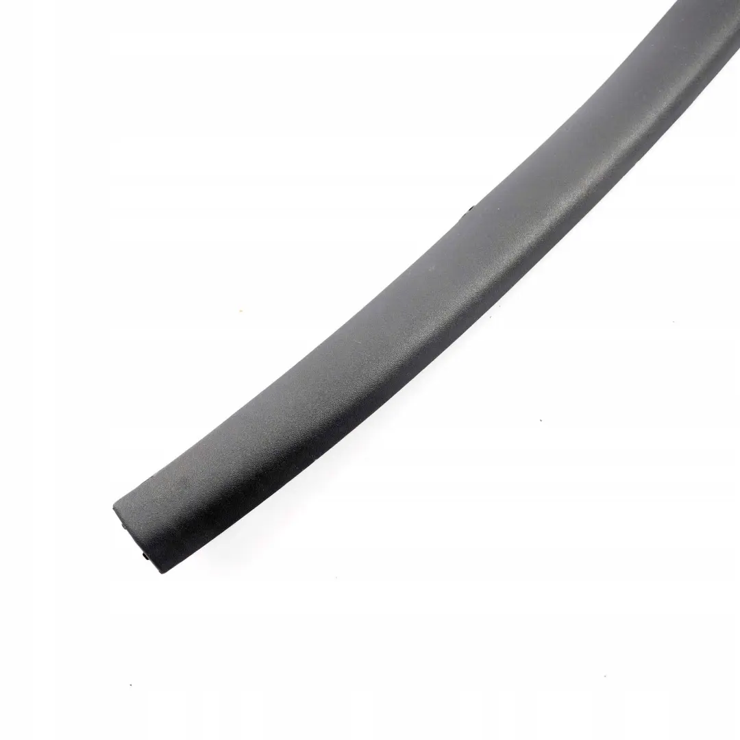 Mini Cooper One R50 R53 Revetement de Hayon Haut Panther Noir - SKU 7029858 - Numéro de pièce 7029858
