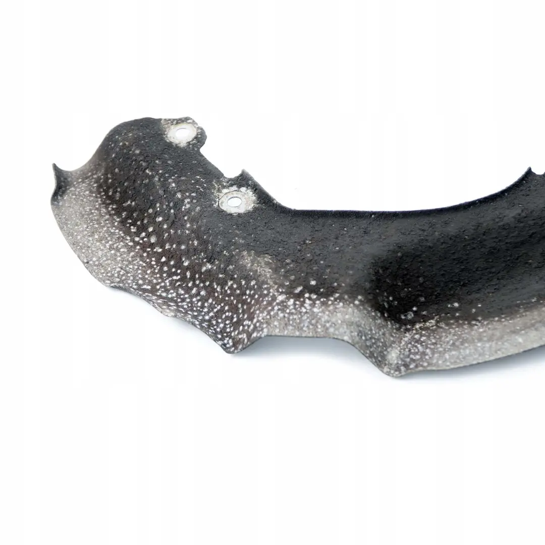 Protection Cover Plate Brake Disc Front Left N/S 6767693 to BMW 6 Series E63 E64 with Part number 6767691 BMW 6 Series E63 E64 Protection Cover Plate Brake Disc Front Left N/S 6767693 - SKU 6767691 - Part number 6767691