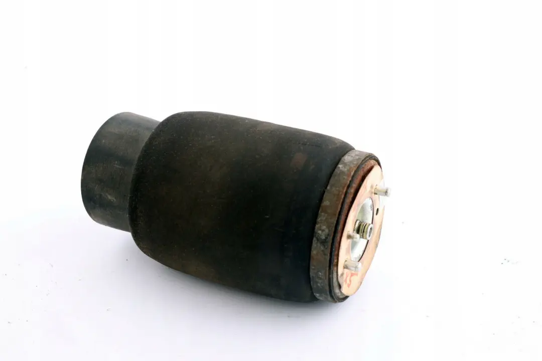 Sospensioni Pneumatiche Ammortizzatore Posteriore Destra per BMW X5 E53 con numero di parte 1095580 BMW X5 E53 Sospensioni Pneumatiche Ammortizzatore Posteriore Destra - SKU 1095580 - Numero di parte 1095580