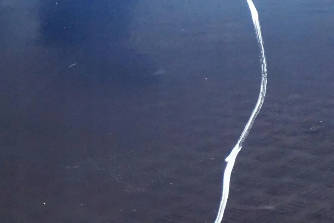 Tür Hinten Rechts Tiefseeblau Blau Metallic - A76 für BMW 5 er E61 Touring mit Teilenummer 7158502 BMW 5 er E61 Touring Tür Hinten Rechts Tiefseeblau Blau Metallic - A76 - SKU 7158502-DSB - Teilenummer 7158502