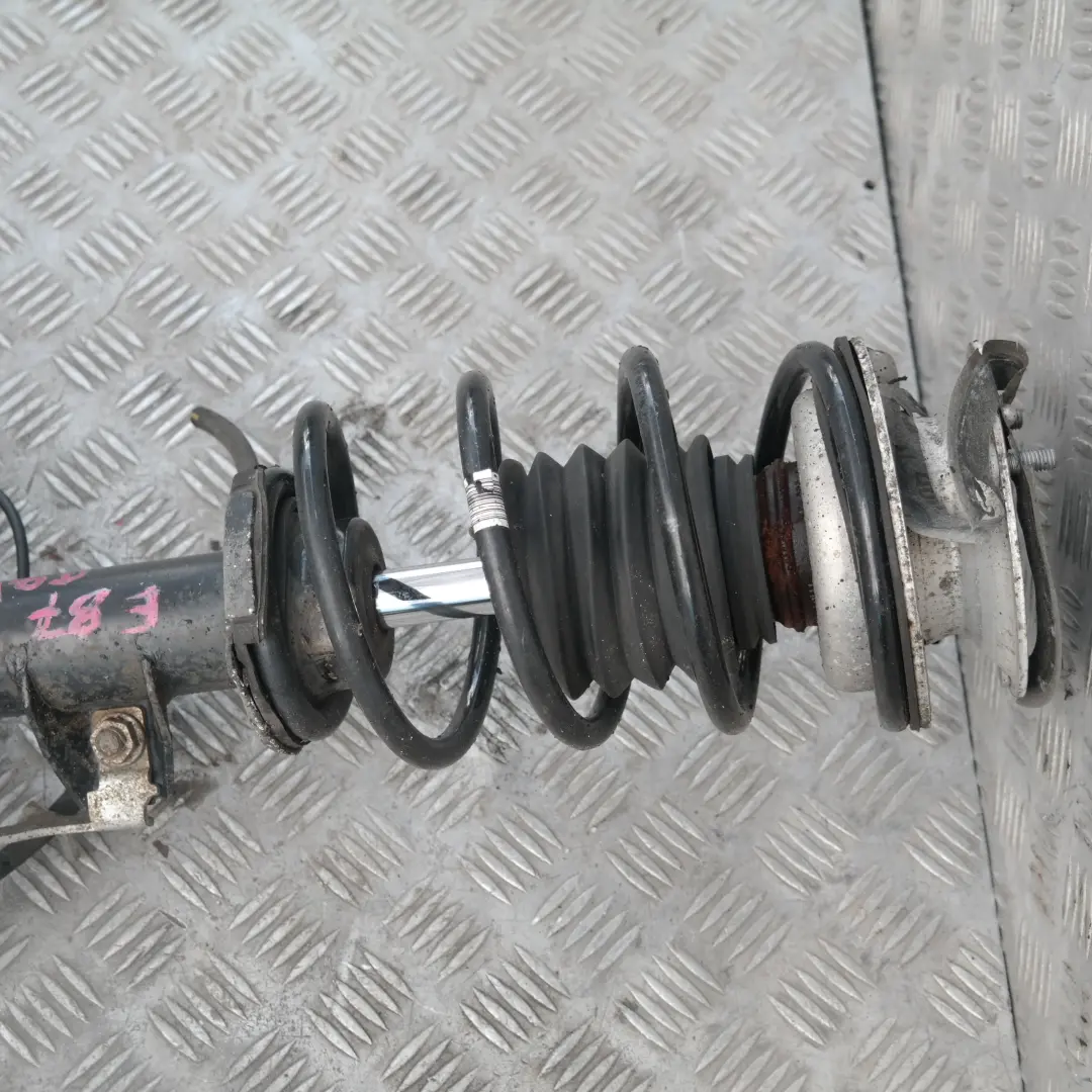 Noga Zawieszenia Lewy Przód Amortyzator Zwrotnica Sport do BMW E87 118d o numerze 6786019 BMW E87 118d Noga Zawieszenia Lewy Przód Amortyzator Zwrotnica Sport - SKU 6786019-1 - Numer Części 6786019