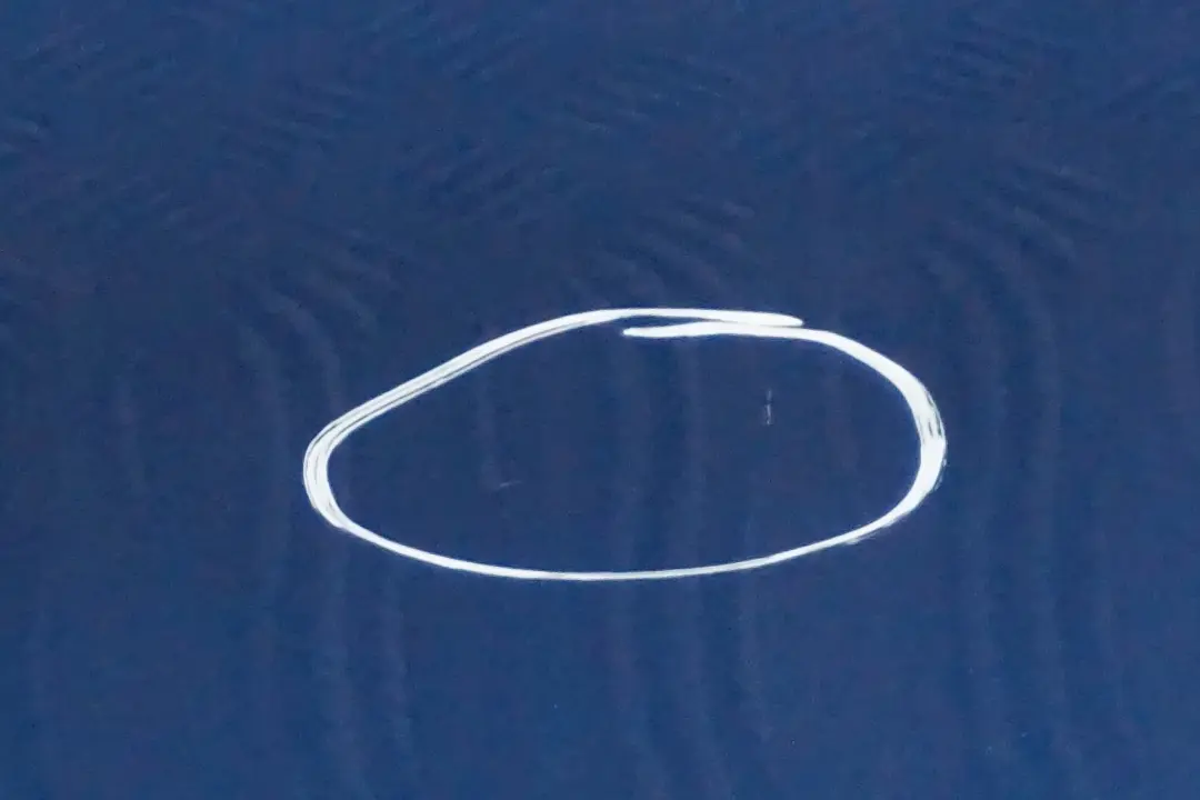 Droite Bleu de Sydney Bleu Metallise A19 pour BMW E87 Porte avant à propos du numéro de pièce 7191012 BMW E87 Porte avant Droite Bleu de Sydney Bleu Metallise A19 - SKU 7191012-SYD10 - Numéro de pièce 7191012