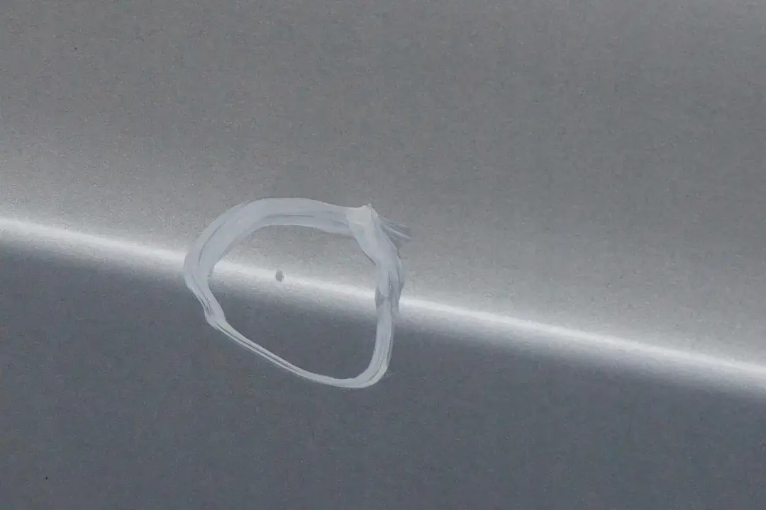BMW X3 Series E83 Door Rear Left N/S Bluewater Blue Water Metallic - 896 - SKU 3449337-WB1 - Part number 3449337