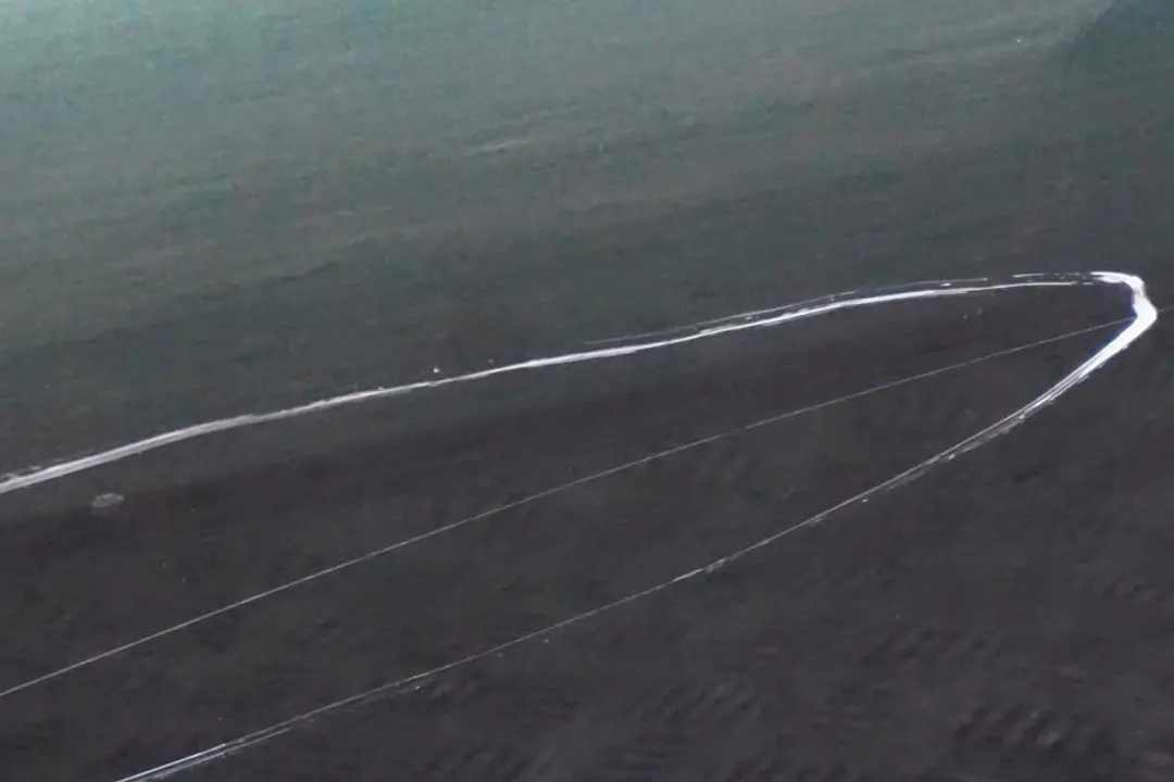 Beifahrer Tür Vorne Rechts Oxfordgruen Gruen Metallic - 430 für BMW 7 er E65 E66 mit Teilenummer 7202082 BMW 7 er E65 E66 Beifahrer Tür Vorne Rechts Oxfordgruen Gruen Metallic - 430 - SKU 7202082-OXF - Teilenummer 7202082