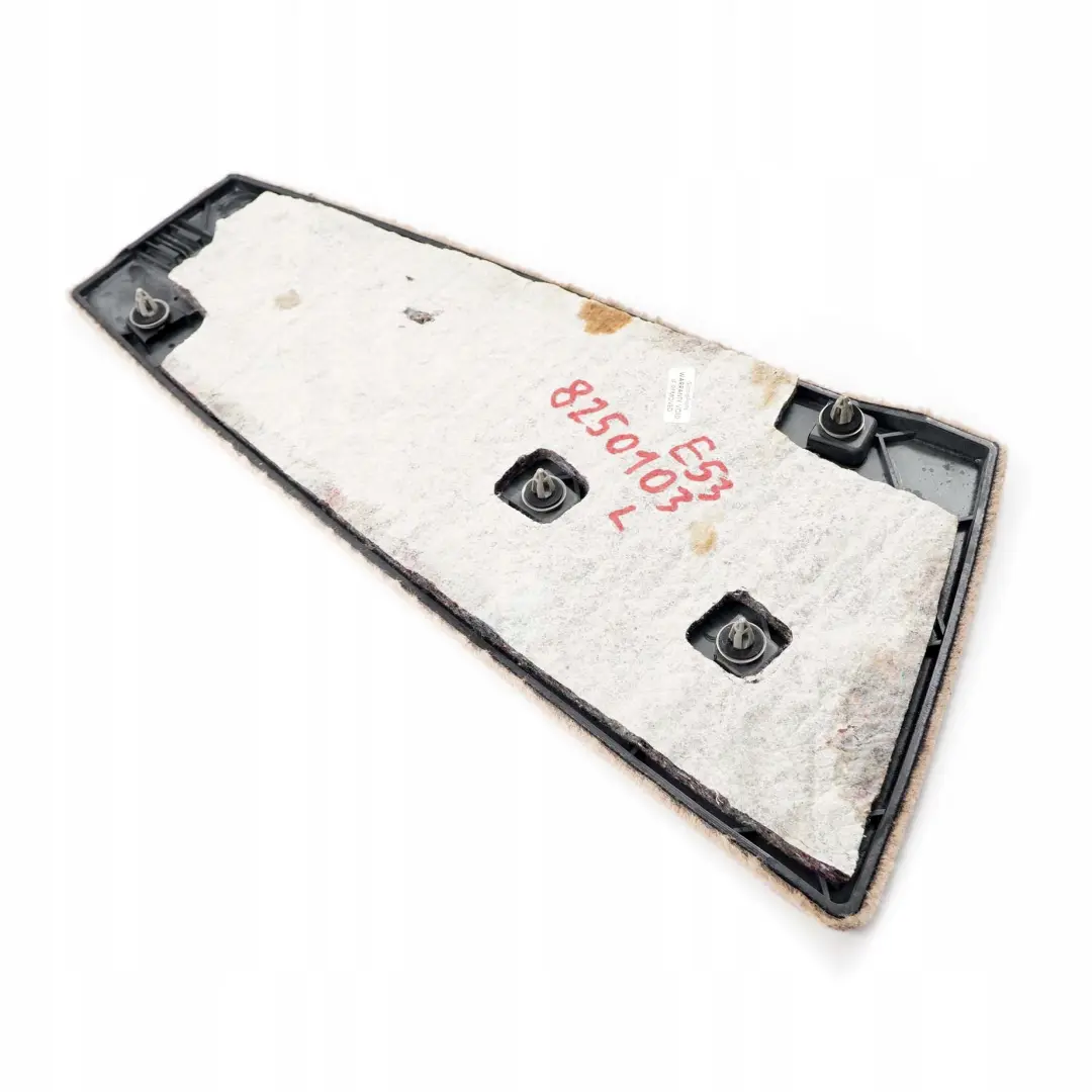 Mittenkonsole Partie Inferieure Arriere Gauche Beige Clair pour BMW X5 E53 à propos du numéro de pièce 8250103 BMW X5 E53 Mittenkonsole Partie Inferieure Arriere Gauche Beige Clair - SKU 8250103 - Numéro de pièce 8250103