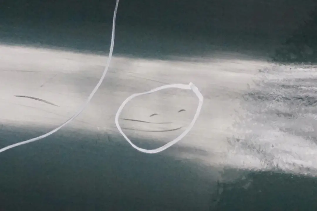 Lato Conducente Porta Posteriore Sinistra Verde Oxford - 430 per BMW X5 E53 con numero di parte 8256827 BMW X5 E53 Lato Conducente Porta Posteriore Sinistra Verde Oxford - 430 - SKU 8256827-OXF2 - Numero di parte 8256827